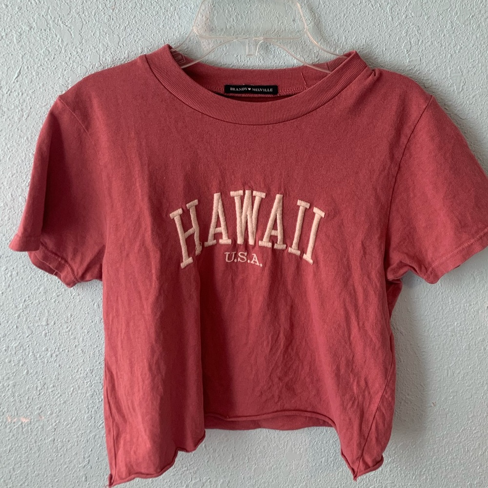Brandy Melville Hawaii Shirt